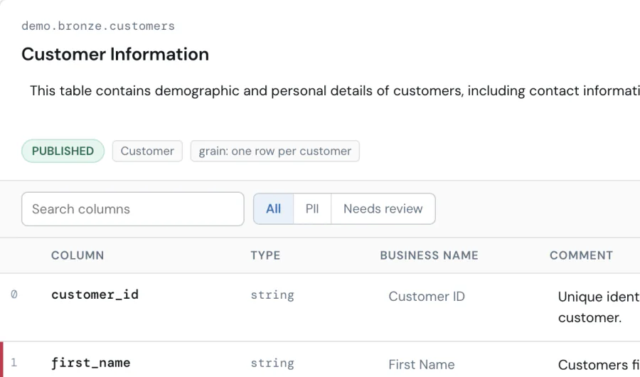 The Data Dictionary app showing the customers table with column names, types, business names and comments.
